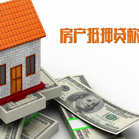 田东贷款公司新渝启服怎么选择