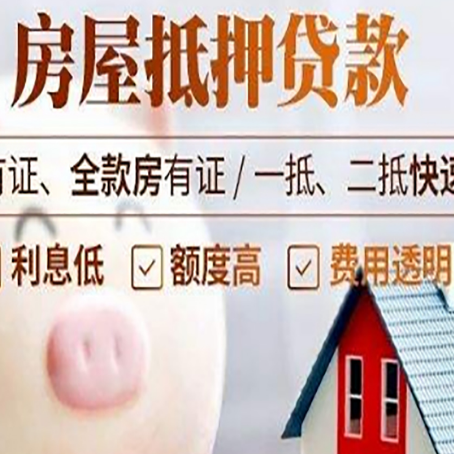 田东贷款助贷公司新渝启服靠谱公司